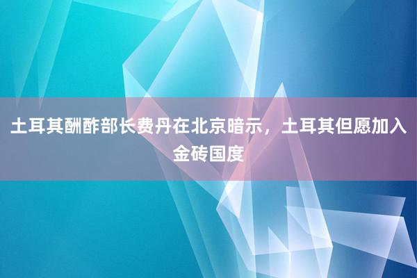 土耳其酬酢部长费丹在北京暗示，土耳其但愿加入金砖国度