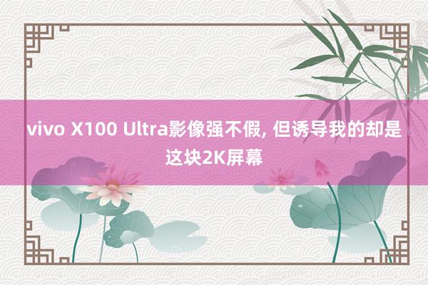 vivo X100 Ultra影像强不假, 但诱导我的却是这块2K屏幕