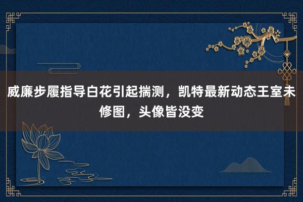 威廉步履指导白花引起揣测，凯特最新动态王室未修图，头像皆没变