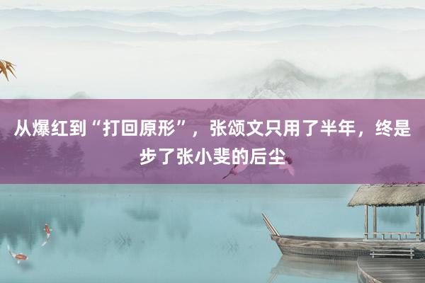 从爆红到“打回原形”，张颂文只用了半年，终是步了张小斐的后尘