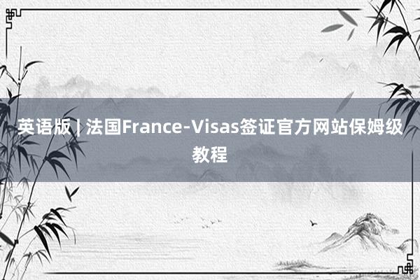 英语版 | 法国France-Visas签证官方网站保姆级教程