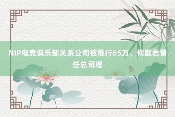 NIP电竞俱乐部关系公司被推行65万，何猷君曾任总司理