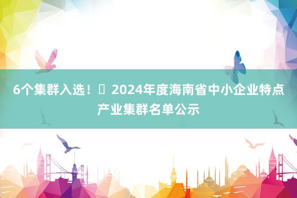 6个集群入选！​2024年度海南省中小企业特点产业集群名单公示