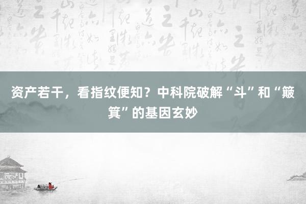 资产若干，看指纹便知？中科院破解“斗”和“簸箕”的基因玄妙