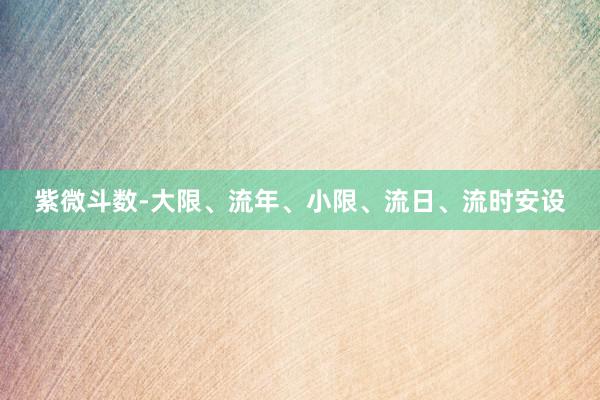 紫微斗数-大限、流年、小限、流日、流时安设