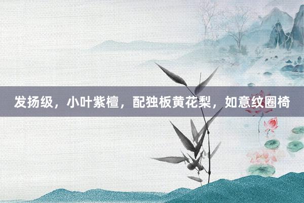 发扬级，小叶紫檀，配独板黄花梨，如意纹圈椅