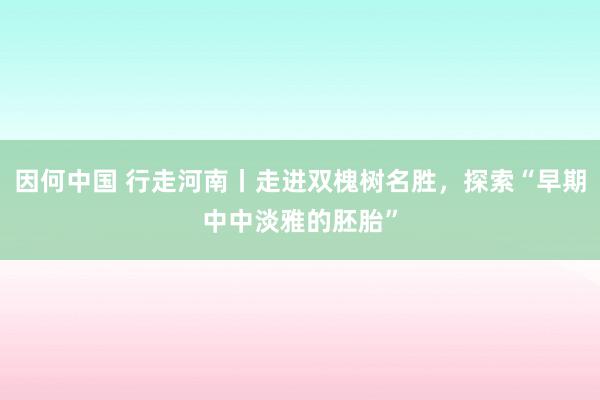 因何中国 行走河南丨走进双槐树名胜，探索“早期中中淡雅的胚胎”