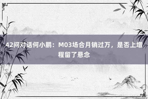 42问对话何小鹏：M03场合月销过万，是否上增程留了悬念