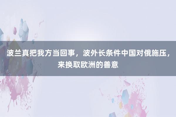 波兰真把我方当回事，波外长条件中国对俄施压，来换取欧洲的善意