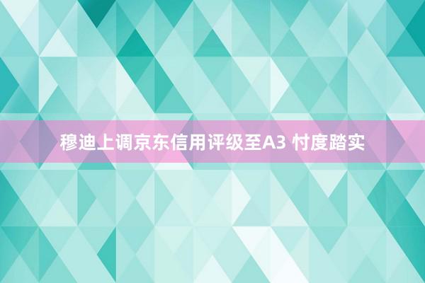 穆迪上调京东信用评级至A3 忖度踏实