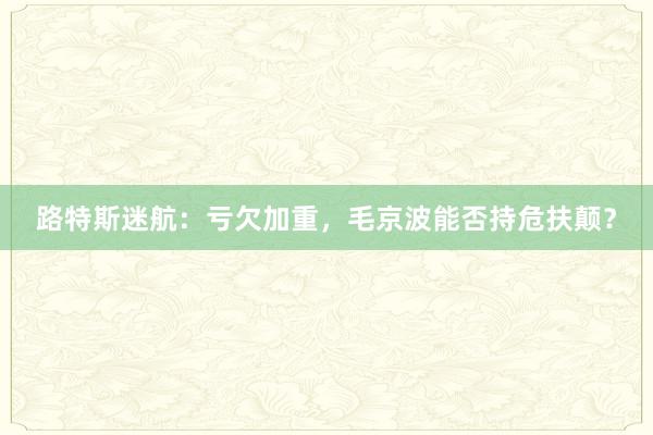 路特斯迷航：亏欠加重，毛京波能否持危扶颠？