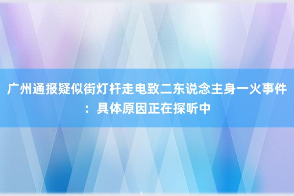 广州通报疑似街灯杆走电致二东说念主身一火事件：具体原因正在探听中