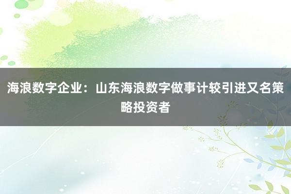 海浪数字企业：山东海浪数字做事计较引进又名策略投资者