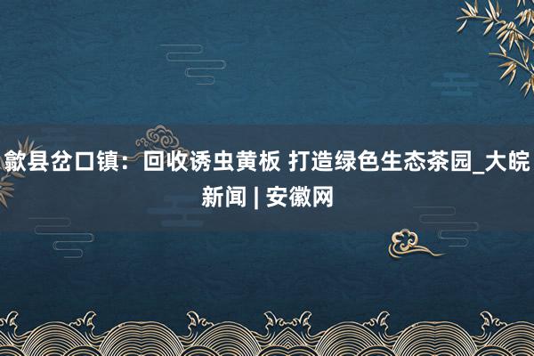 歙县岔口镇：回收诱虫黄板 打造绿色生态茶园_大皖新闻 | 安徽网